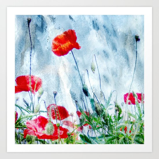 Poppy Love III Art Print