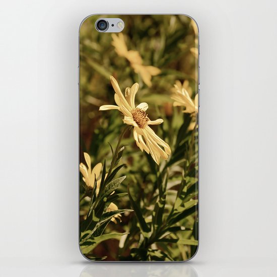 Sunward iPhone & iPod Skin