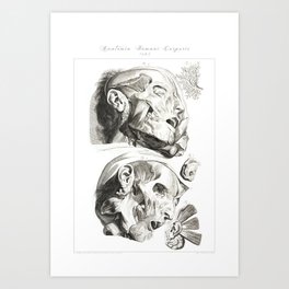 Human Anatomy Art Prints Society6