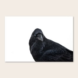 The Raven Canvas Print