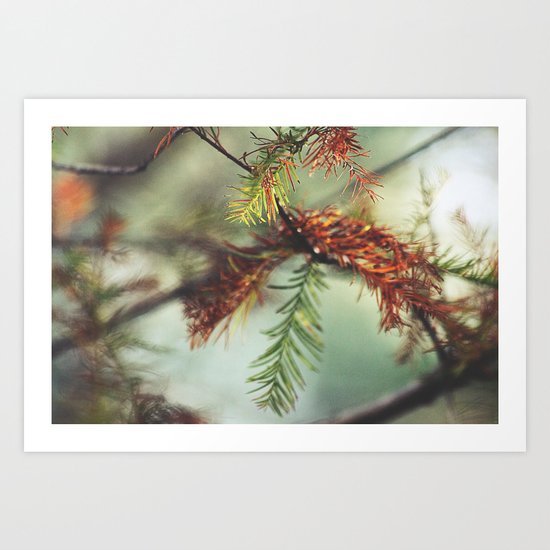 Through a Lens Art Print