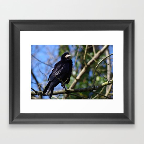 Rook Framed Art Print