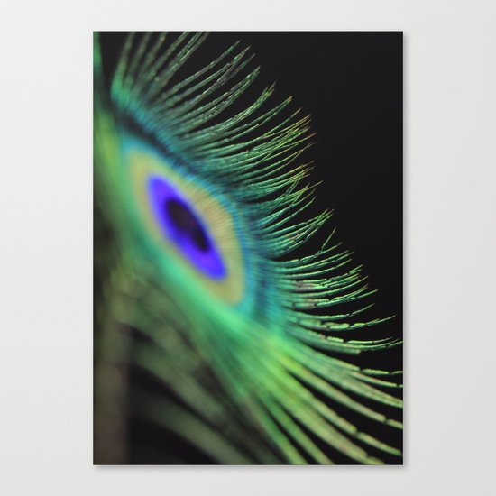 Peacock feather Canvas Print
