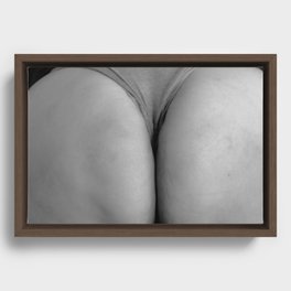 Scenes Of Nature One Framed Canvas