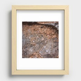 Snowflakes on the Trunk Recessed Framed Print