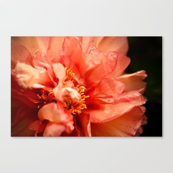 Flower Canvas Print
