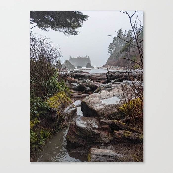 Rainy Washington Coast Canvas Print