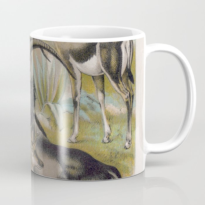 Chamois Gazelle Springbok and Antelope Coffee Mug