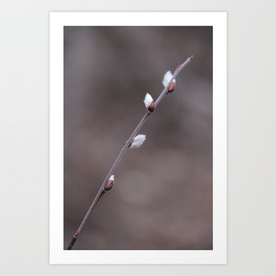 Spring II Art Print