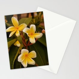 Yellow Plumerias Stationery Card