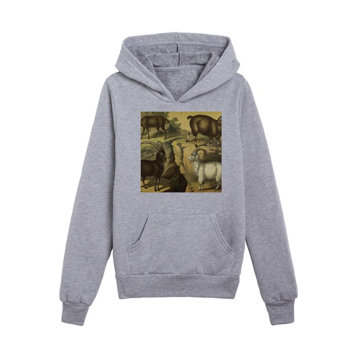 Sheep And Goats Kids Pullover Hoodie