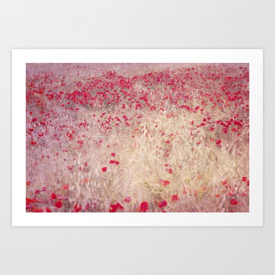 Fields of poppies Art Print