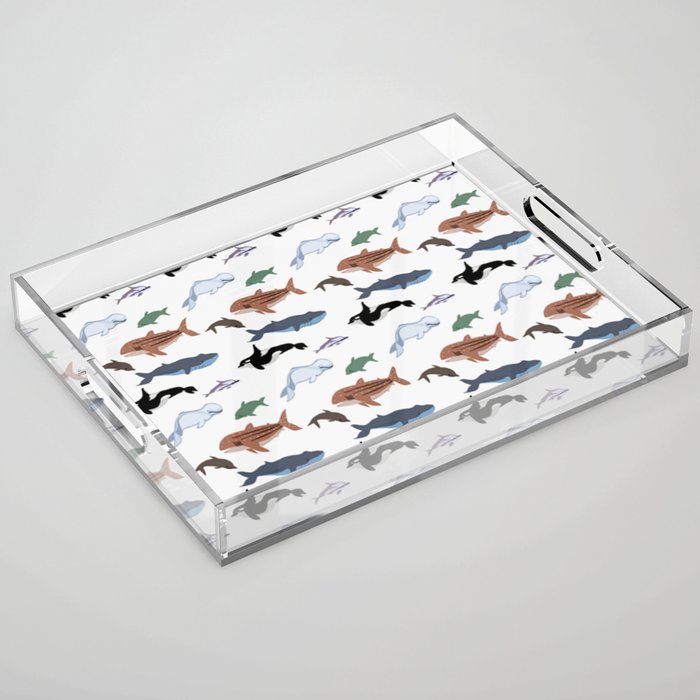Whales & Dolphins Acrylic Tray