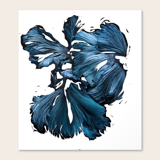 Beta Alpha Canvas Print