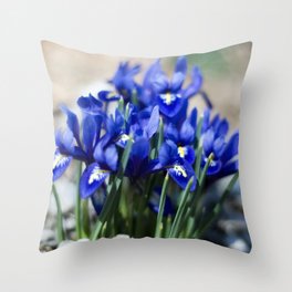 Iris Watercolor Throw Pillow