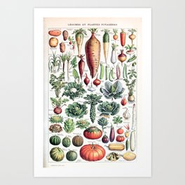 Adolphe Millot - Légumes pour tous - French vintage poster Art Print