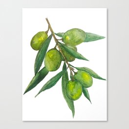 Watercolor Olive Branch Canvas Print