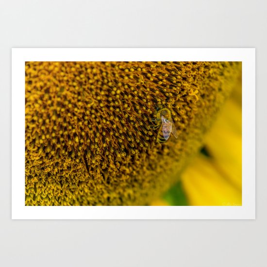 BzzzZzzzZzzz Art Print