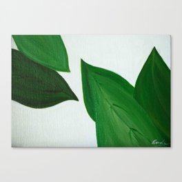 Green leaves Canvas Print