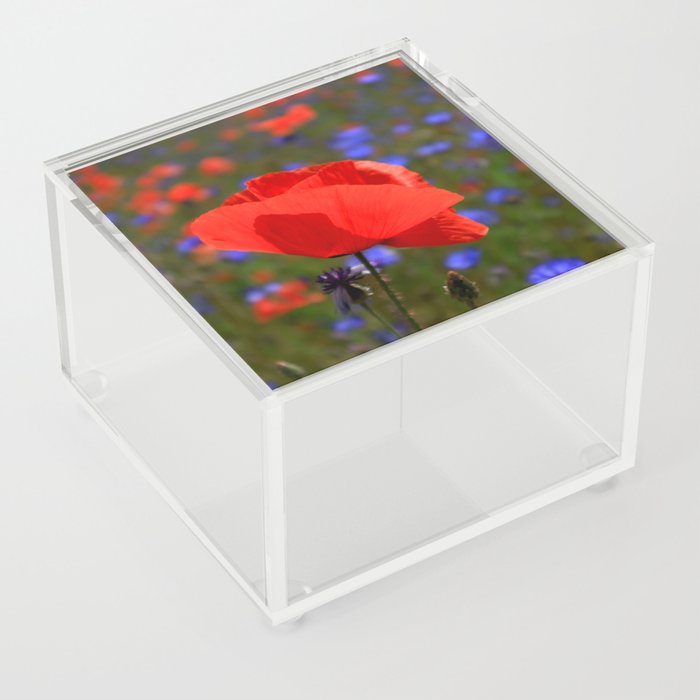 Beautiful Red Poppy Acrylic Box