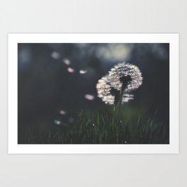 Dandelion Print - Dark Blue - Wind Blown Dandelion Seeds - Grass - Nature Flower Photography Kunstdrucke