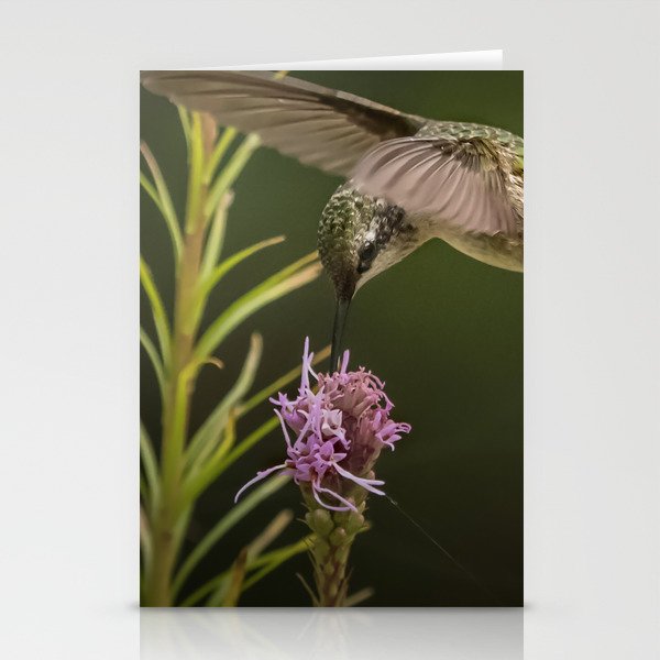 Hummingbird and deck flowers Stationery Cards