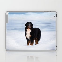 Bernese Mountain dog Wall art Laptop & iPad Skin