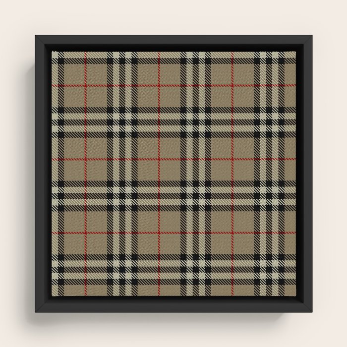 Framed Canvas