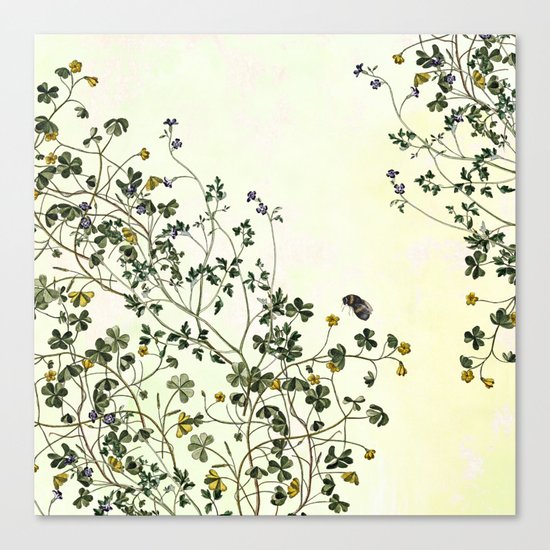 The cultivation of wild Canvas Print