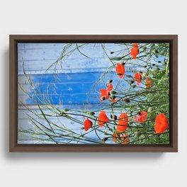 Poppies and the Greek door Framed Canvas