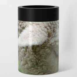 New Zealand Photography - New Zealand Sheep Eating Grass Can Cooler