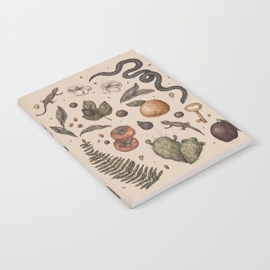 Florida Nature Walks Notebook