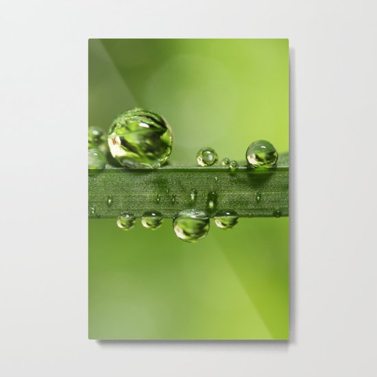 Gloriously Green Metal Print