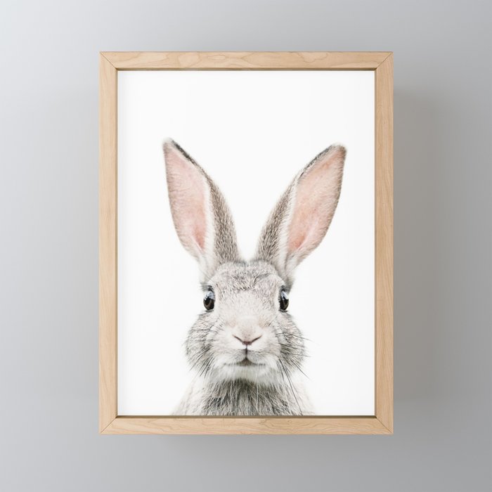 Bunny face Framed Mini Art Print