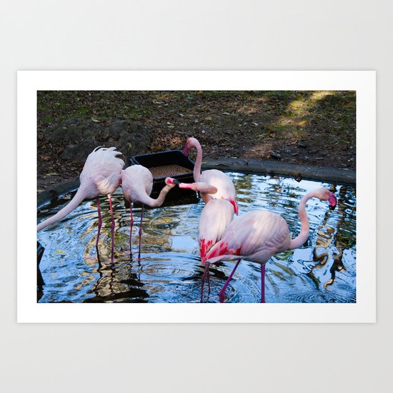 Just a little Kiss Art Print