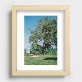 Apple tree Recessed Framed Print