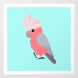 Galah cockatoo Art Print