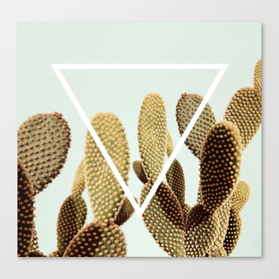 Cactus geometry Canvas Print