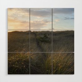 A Path in the Dunes Wood Wall Art