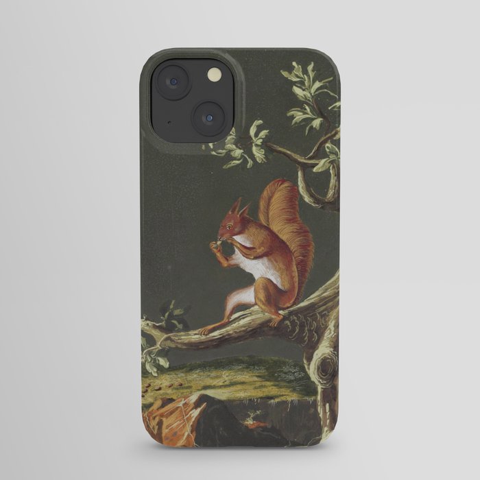 Vintage Squirrel Art, 18th Century iPhone Case