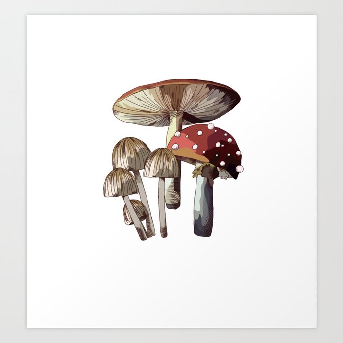 Mushroom Trio Art Print
