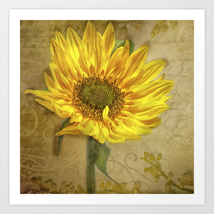 Sunny Days Art Print