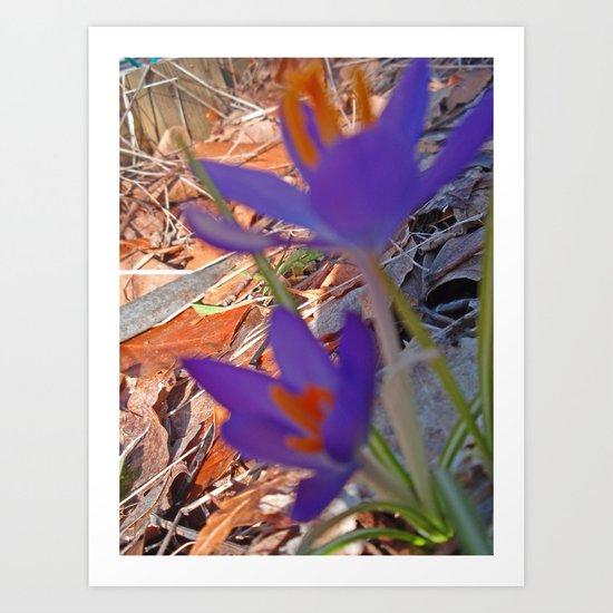 spring Art Print