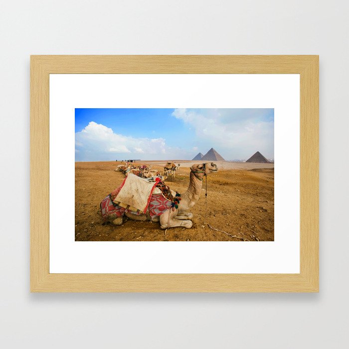 Cairo Camel Framed Art Print