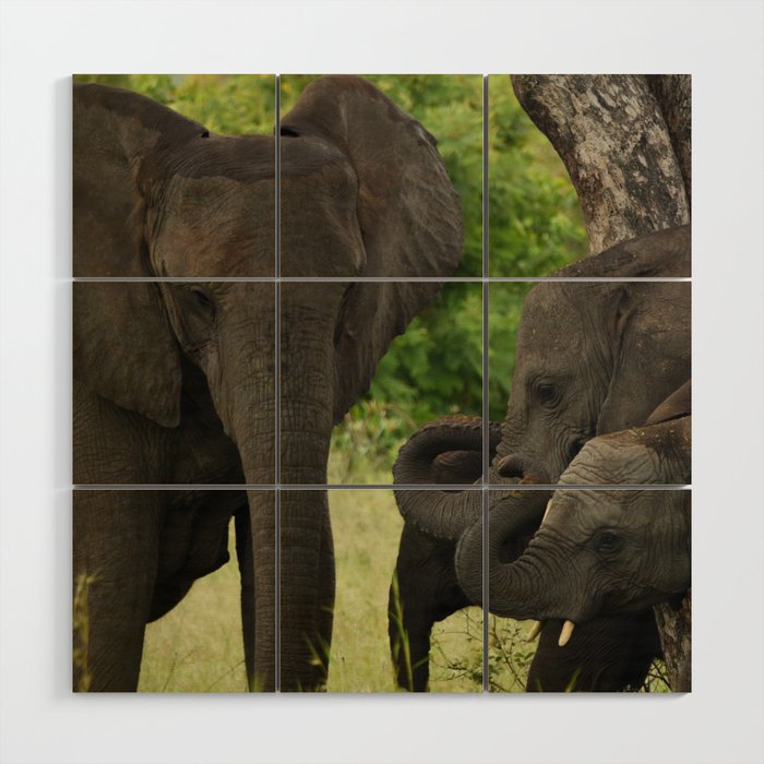 Elephant and Two Calves Wood Wall Art