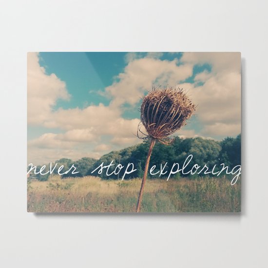 Never Stop Exploring II Metal Print