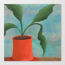 Terracotta Houseplant Canvas Print
