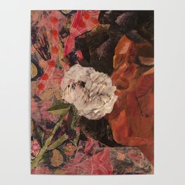 Peony in Bloom Poster
