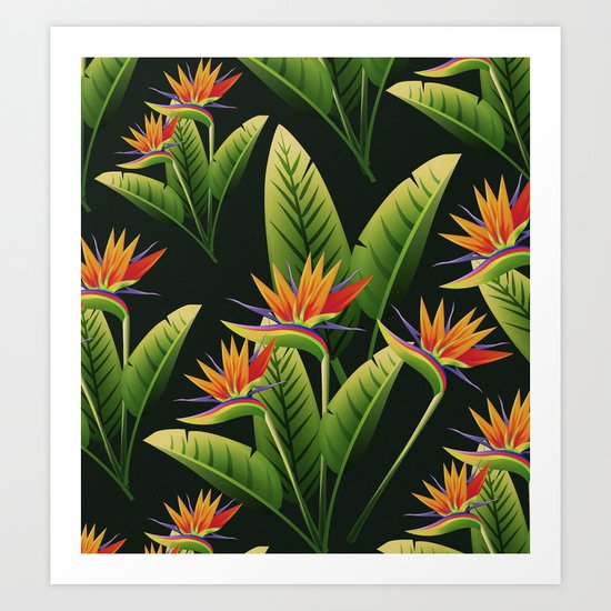 Tropical Flowers vol.4 Art Print