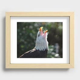 Bald Eagle Call Recessed Framed Print